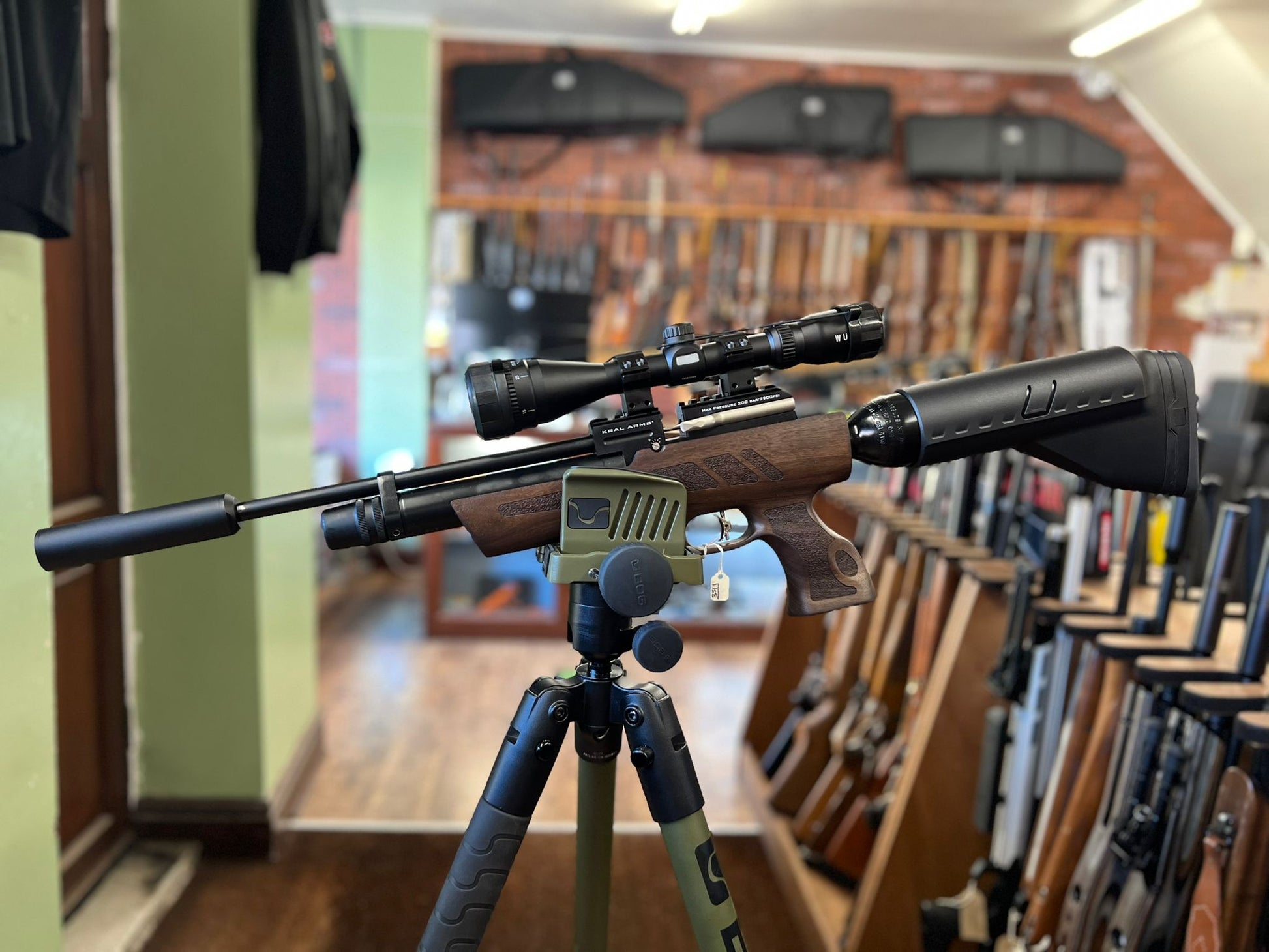 The Kral NP02 Hunter kit.  Wulf 3-5x50 scope shorty Mkll silencer